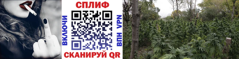 ссылка на мегу ссылка Мамадыш МАРИХУАНА Bruce Banner